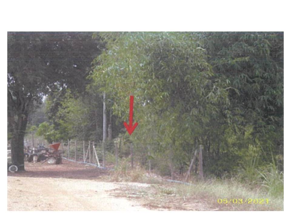Land with buildings in Nakhon Si Thammarat _photo