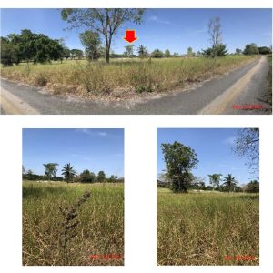 land in Chonburi - Image ID: 26605842