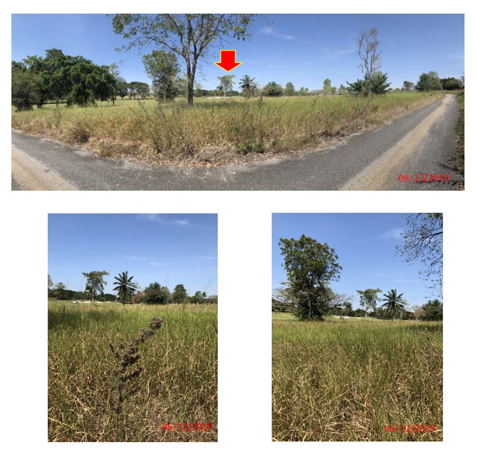 Land with buildings in Nakhon Sawan _photo