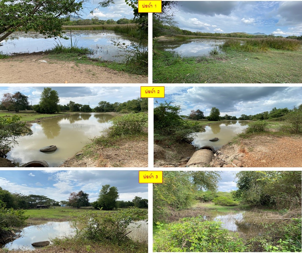 Land with buildings in Nakhon Si Thammarat _photo
