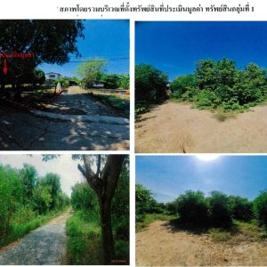 Land with buildings in Pathum Thani