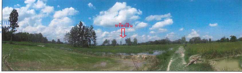 Real Estate from Banks _photo