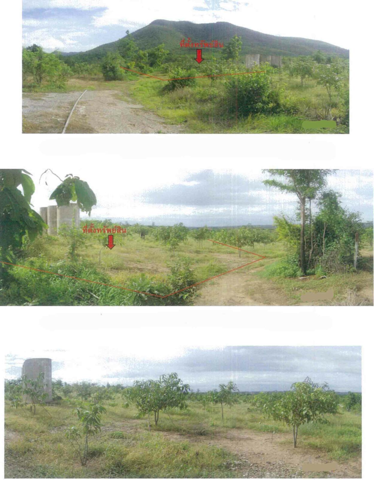 Real Estate from Banks _photo