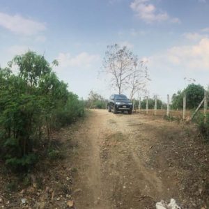 land in Lamphun