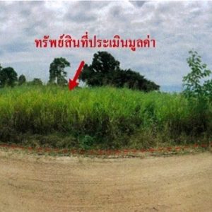 land in Chonburi