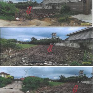 land in Nakhon Pathom