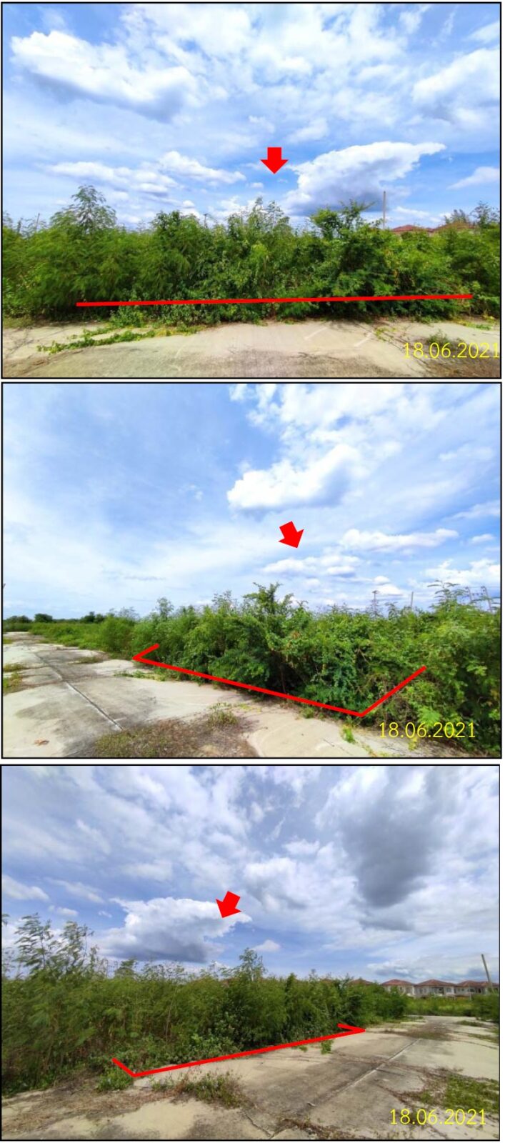 Real Estate from Banks _photo