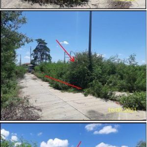 land in Nakhon Pathom