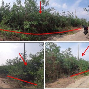 land in Nakhon Pathom