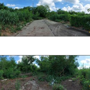 land in Nakhon Pathom