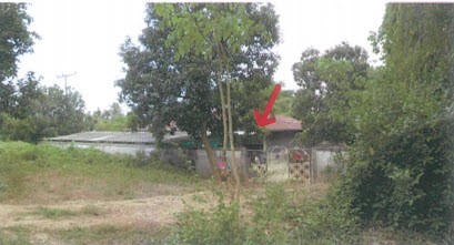 Real Estate from Banks _photo