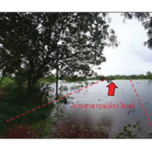 land in Prachin Buri