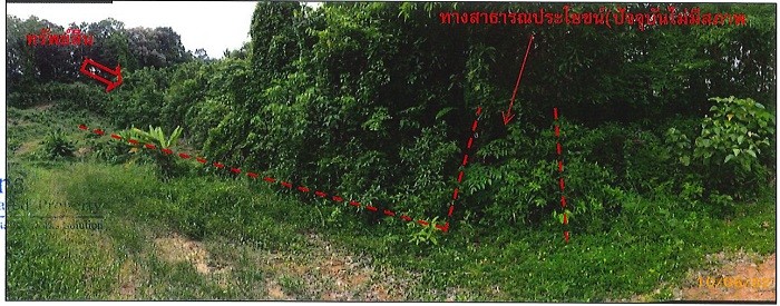 Real Estate from Banks _photo