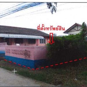 Land with buildings in Phichit