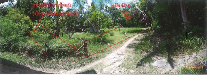 Real Estate from Banks _photo