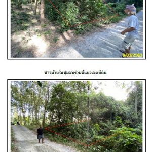 land in Surat Thani