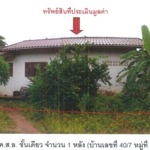 Land with buildings in Phichit