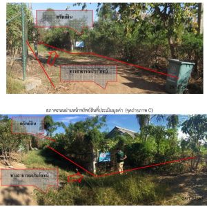 Land with buildings in Phetchabun