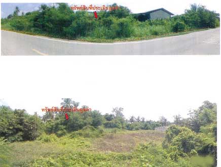 Real Estate from Banks _photo