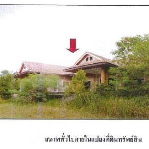 Land with buildings in Surat Thani