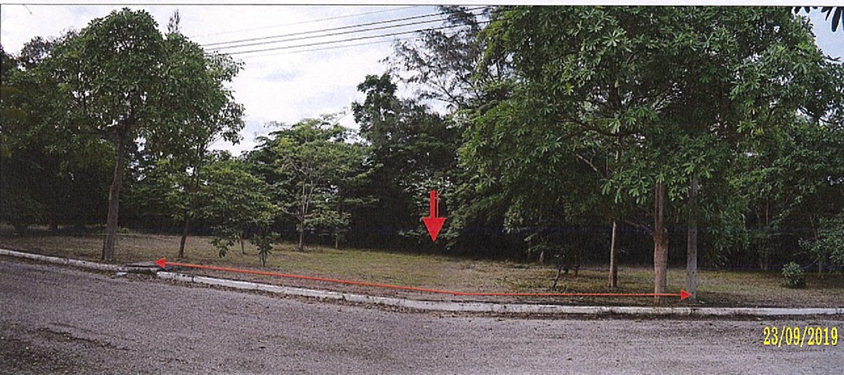 Real Estate from Banks _photo