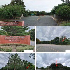 land in Nakhon Pathom