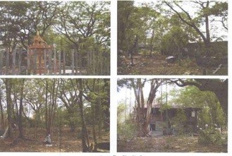 Real Estate from Banks _photo