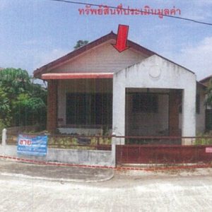 Land with buildings in Phichit