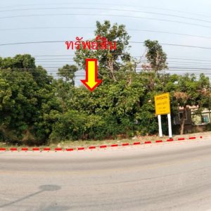 land in Chiang Rai