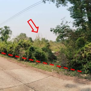 Land with buildings in Chiang Rai