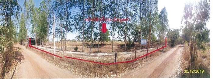 Real Estate from Banks _photo