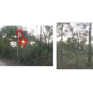 land in Maha Sarakham