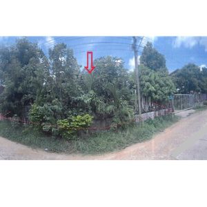 Land with buildings in Roi Et