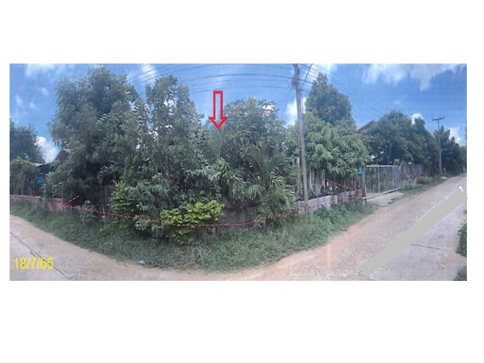 Real Estate from Banks _photo