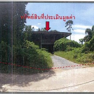 Land with buildings in Phichit