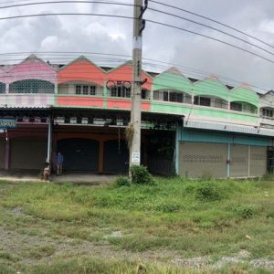 Land with buildings in Chai Nat