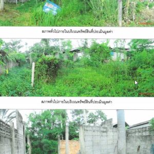 land in Phatthalung