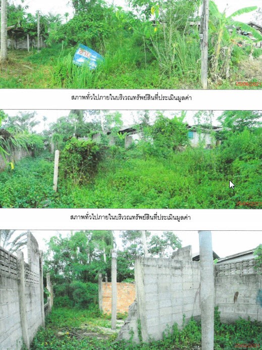 Real Estate from Banks _photo