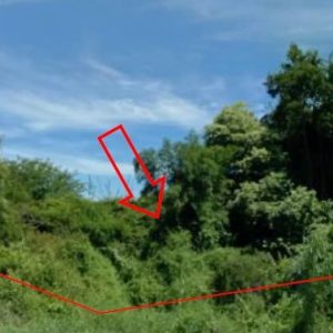 land in Maha Sarakham