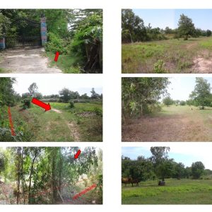 land in Maha Sarakham