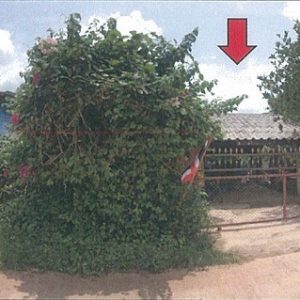 Land with buildings in Udon Thani
