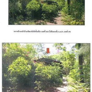 Land with buildings in Surat Thani