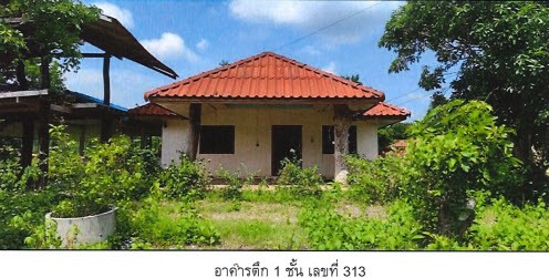 Real Estate from Banks _photo