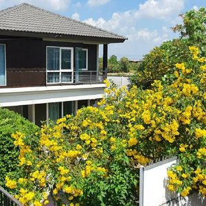 Land with buildings in Bangkok