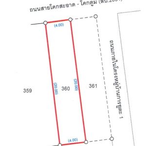 Land with buildings in Lop Buri
