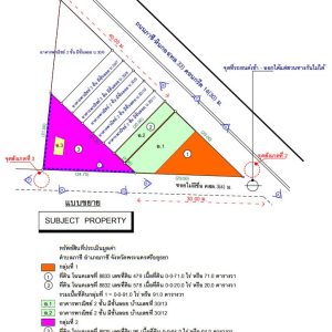 Land with buildings in Ayutthaya