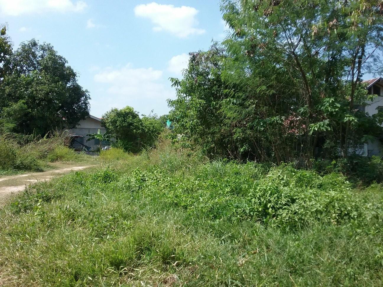 Real Estate from Banks _photo