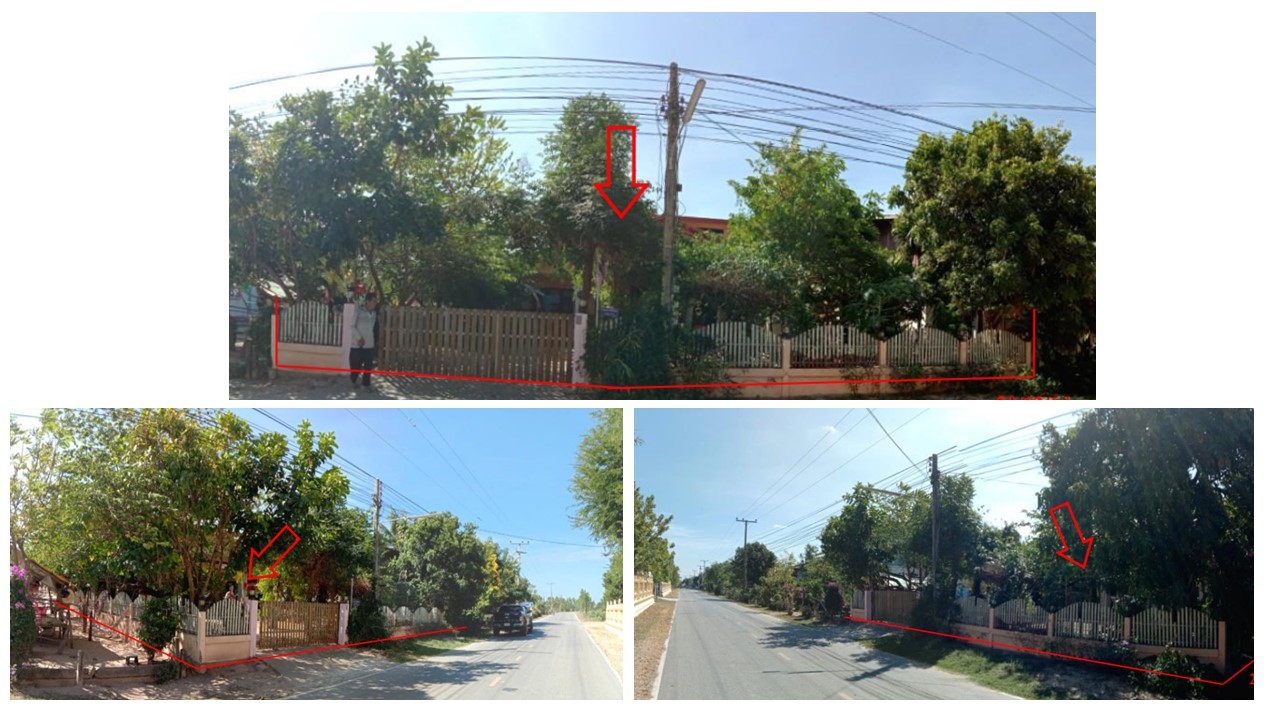 Real Estate from Banks _photo