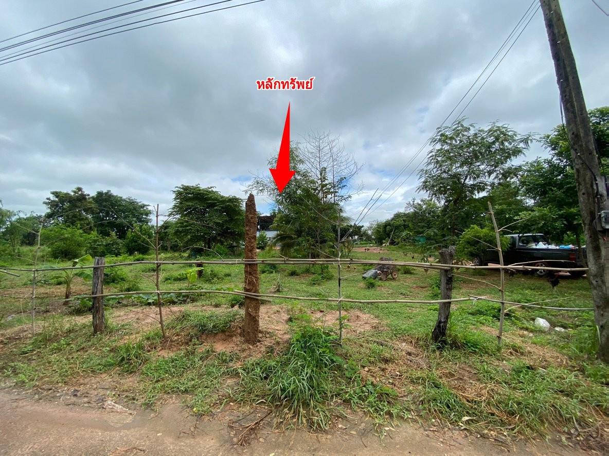 Real Estate from Banks _photo