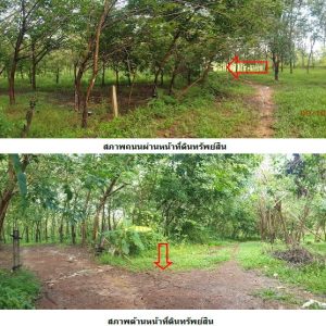 land in Sakon Nakhon